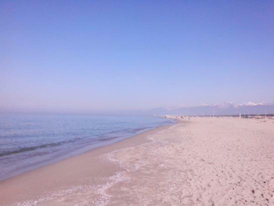 Casavacanza Villa D Funny Viareggio Dış mekan fotoğraf